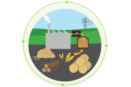 Energieträger Biomasse