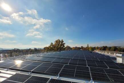 Konzepte für Ihren Infopfad